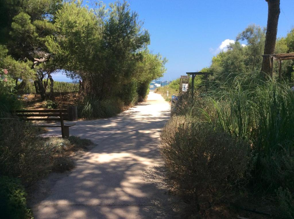 Badine * Hyères